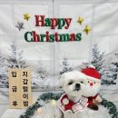 환해지개 이미지