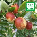 꽃담농원