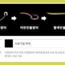 제이제이홀딩스