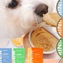 댕댕이맘마 이미지