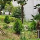 우리조경 이미지