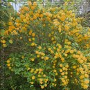 구미검성지한정식 이미지