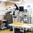 청담눈초롱안과동물병원 이미지