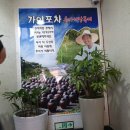 점심&포차 이미지