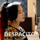 데스파시토 이미지