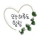 수예뷰티 이미지