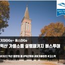 설렘투어 이미지