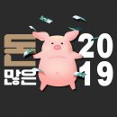 마스터토탈케어 이미지