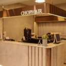 앨리헤어 이미지