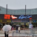 골져스캣(Gorgeous cat) | 미친 퍼포머 도자와 함께한 광란의 연말 콘서트 | 도자 캣 내한 공연 Ma Vie World Tour 후기