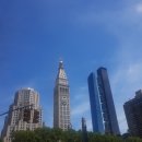 메디슨무역 이미지