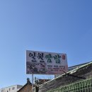 양평가스충전소 | 홍천맛집 일월쌈밥 후기 반찬이 상다리 부러질 정도! 캠핑 중 들른 최고의 한식집