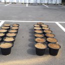 진동도서관 이미지