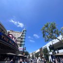 캘리포니아 쇼핑 &amp; 핫플레이스 🌟 The Grove vs. The Americana at Brand