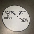 SUN아트 | 강릉 아르떼뮤지엄 미디어아트 전시 관람 후기 및 시간 입장료 정보 실내 데이트 여행 코스 추천