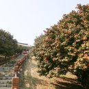 동백호텔 이미지