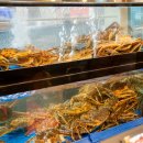 체육관로 | 인천 대게 더꽃게 부평 대게코스 2인 연말데이트 모임 후기