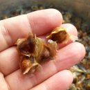 신가네농장 이미지