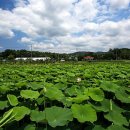 명산리마을회관 이미지