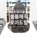 로이드밤 아주대점