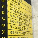 고추노래클럽 네이버블로그