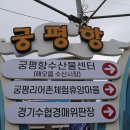 경기 화성 궁평항 Daum카페