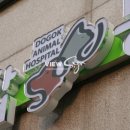 화이트동물병원 이미지