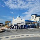 도계당구장 이미지