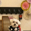 멍스 크로스 이미지