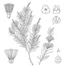 향기나라 화장품 이미지