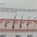 콤마더문