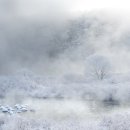 장5교 Daum카페