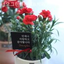 네오그린 | 원남동꽃집 네오그린플라워&amp;카페 소중한 순간을 담는 곳!