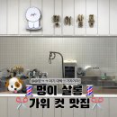 멍이살롱 네이버블로그