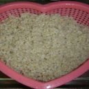 꽁보리밥 이미지