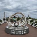 모노포레스트 이미지