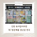 옹진구청 앞2 | 인천 도담도담 장난감월드 부평구청역점 이용방법 및 후기 (총정리!)