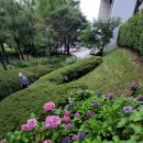 지하철강서구청역 이미지