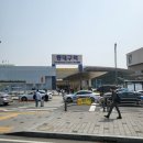 꽁방과 함께하는 대구 원정, 2025년 4월 3주차 일상
