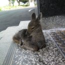 성산면사무소 이미지