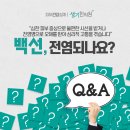 백선세탁 이미지