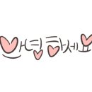 엘로이즈캔들