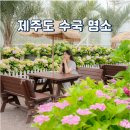 남원읍 신례리 834-2 | 제주 서귀포 가볼만한곳 제주도 수국 명소 6월 휴애리 수국축제