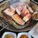 커큐민 흑돼지