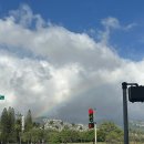 스텔라 호스텔 | 하와이 4박 5일 여행기 (오아후)