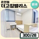 더고침펠리스 이미지