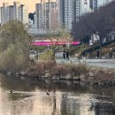 모디푸드트럭 | 동래 빛축제 2025 기간 및 위치 푸드트럭 정보, 어린이 놀이마당