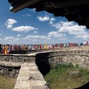 오늘의 포토뉴스 2007.10.19 금요일 이미지