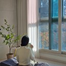 024-1 | 3단 접이식 토퍼 024홈 푹신한 거실 매트리스 솔직 후기