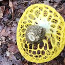 지산공영주차장 이미지